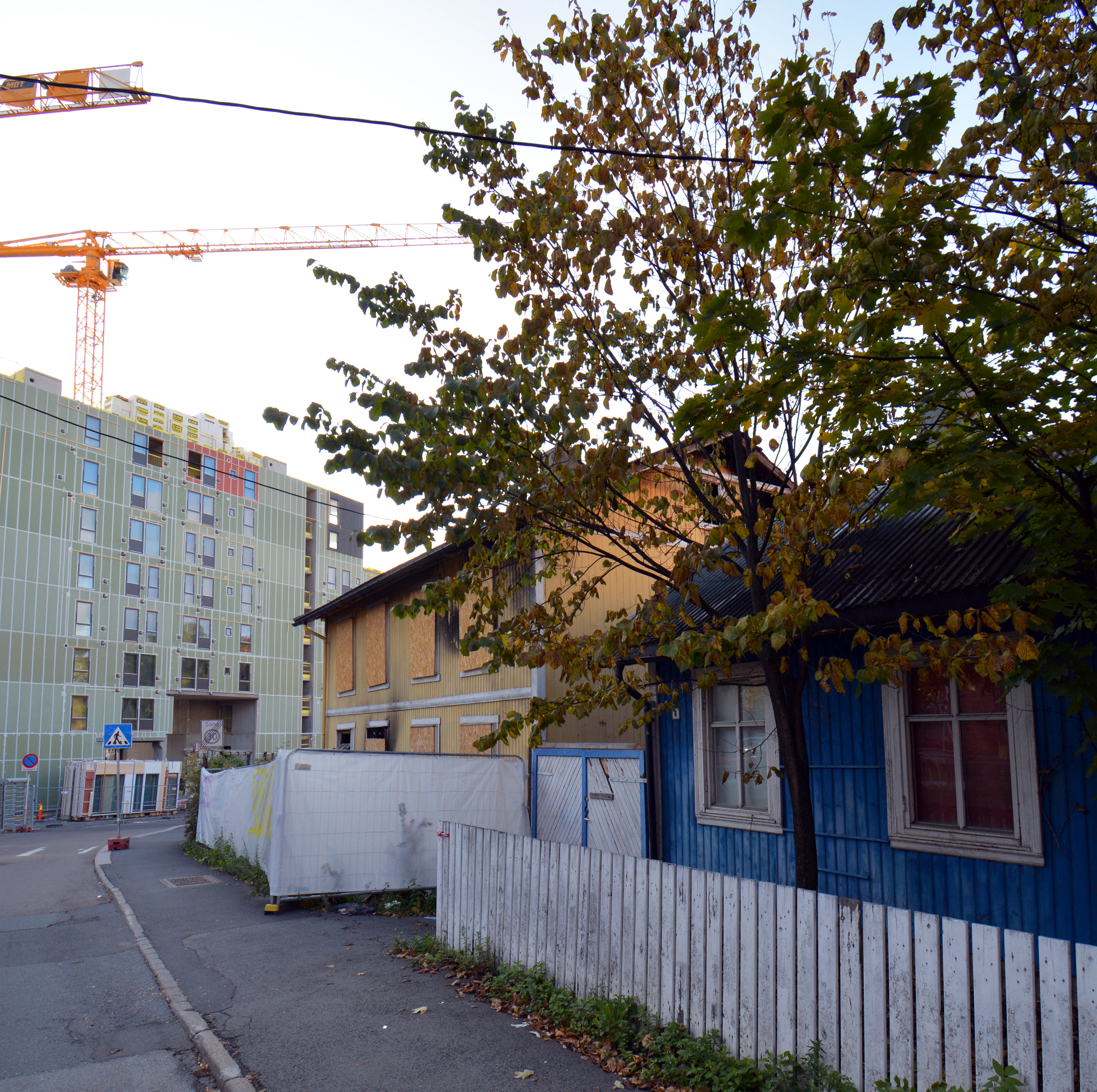 Lite trehusmiljø i Oslo i et område med fortetting. 